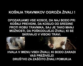 DZŽPomurja-Opozorilo koscem travnikov.jpg