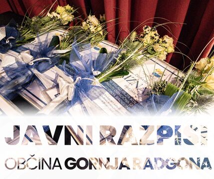 Javni razpis-priznanja