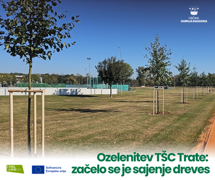 Ozelenitev TŠC Trate: začelo se je sajenje dreves