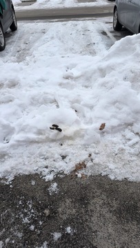 dabbc57e-0c3d-4ef6-856f-a2318ec8a3cb