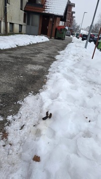 3d9e68d3-fd4d-46e1-bd5c-591a9b6e1165