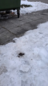 33abac27-938b-42a2-85c4-9502c7d9dfff