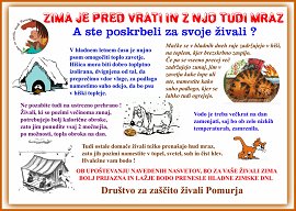 DZŽ_Pomurja-dec_13-ZIMA - plakat.jpg