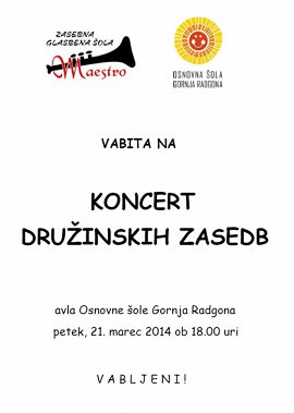 ZGŠ_Maestro-KONCERT družinskih zasedb-21.03.2014.jpg