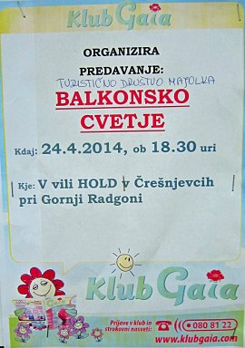 VABILO-TD Majolka-predavanje_Balkonsko cvetje-24.4.2014.JPG